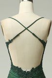Mermaid Dark Green Long Prom Dress with Appliques Beading HZ0319