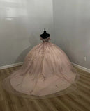 Light Pink Applique Ball Gown Prom Dress Evening Formal Dress HZ0319