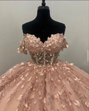 Light Pink Applique Ball Gown Prom Dress Evening Formal Dress HZ0319