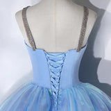 Fairy Spaghetti Strap Sweet 16 Birthday Party Gown Sparkly Formal Prom Dress HZ0319